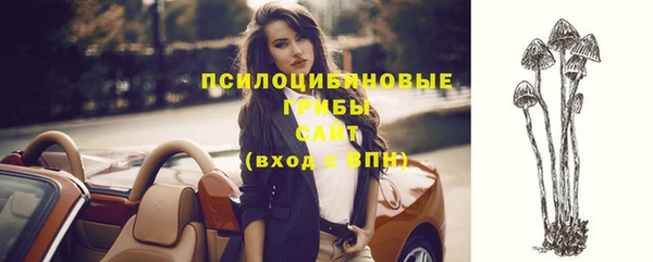 не бодяженный Алексин