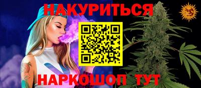 прущие крисы Бийск