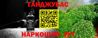 прущие крисы Бийск
