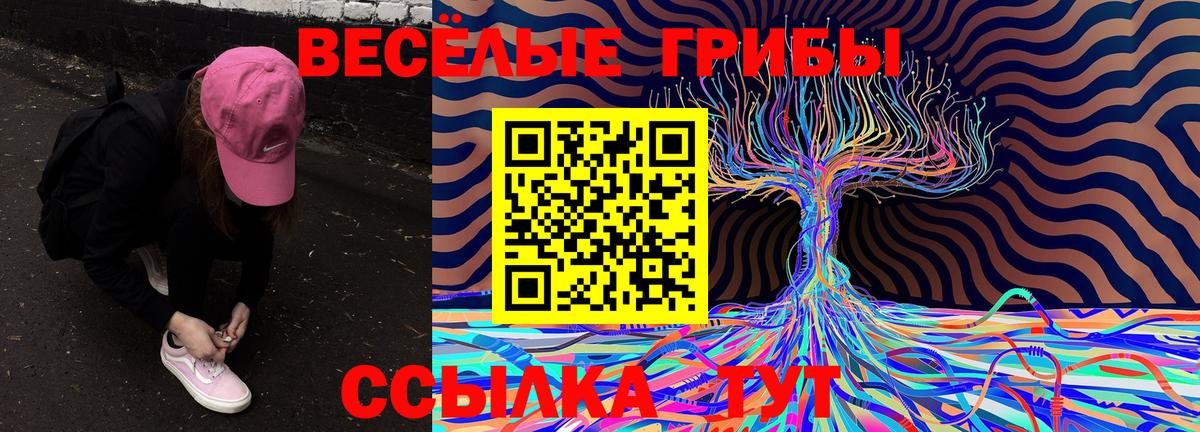 Псилоцибиновые грибы MAGIC MUSHROOMS Ленинск-Кузнецкий