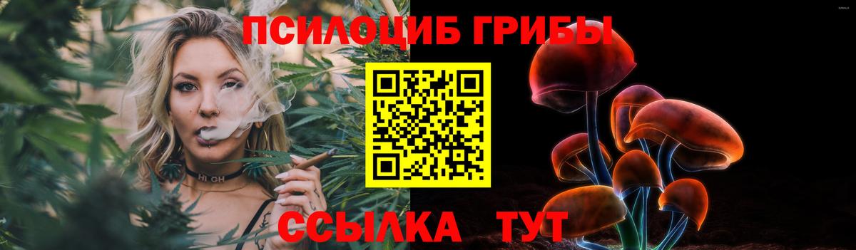 наркота  Псилоцибиновые грибы прущие грибы  Вход с VPN  Ленинск-Кузнецкий 